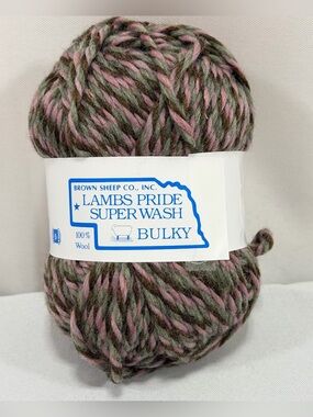 Lambs Pride Super Wash Yarn Bulky Blooming Pussywillows SWB198 1 Skein